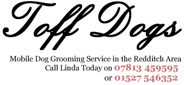 Toff Dogs
